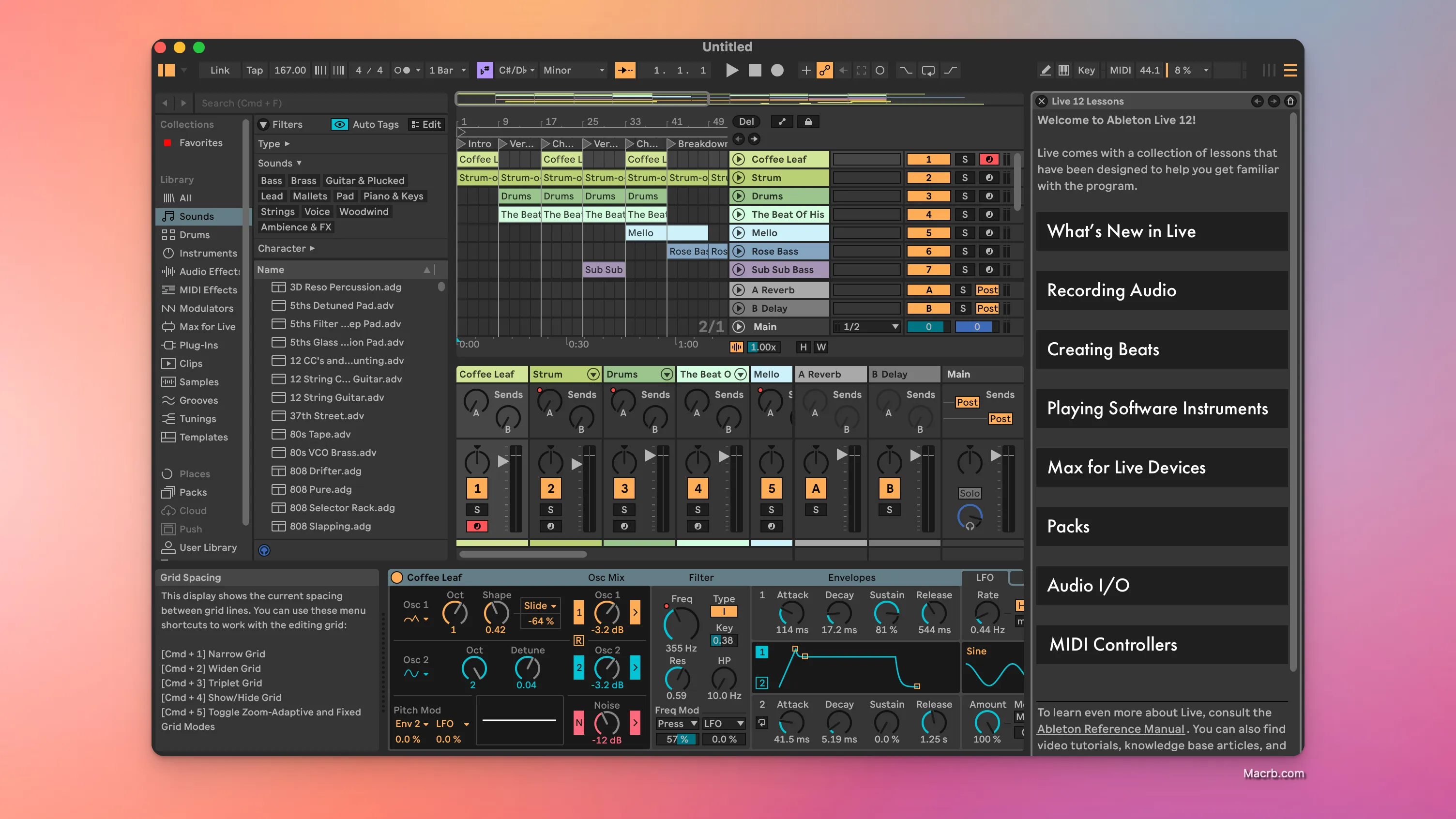 Ableton Live 12 Suite